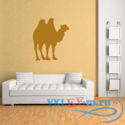 Декоративная наклейка Верблюд в силуэте