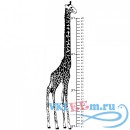 Декоративная наклейка жираф ростомер