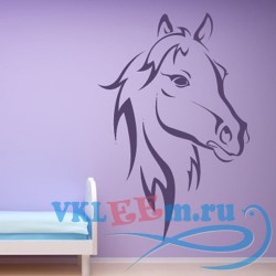 Декоративная наклейка портрет лошади