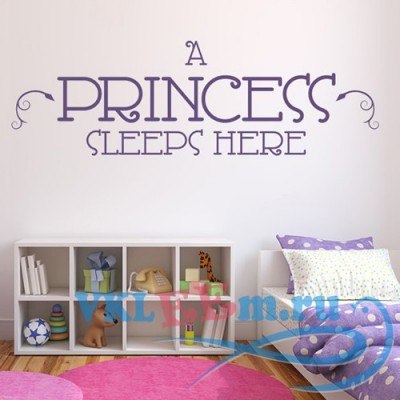Декоративная наклейка Princess надпись на eng в комнату девочки