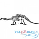 Декоративная наклейка скелет древнего динозавра