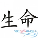 Декоративная наклейка Традиционные китайские иероглифы