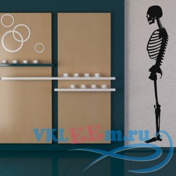 Декоративная наклейка Скелет с боковым видом