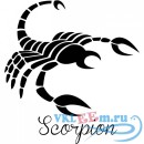 Декоративная наклейка Зодиакальный Скорпион