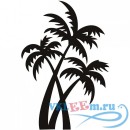 Декоративная наклейка Тропические пальмы