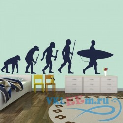Декоративная наклейка Surfing Evolution Ape To Surfer &amp; Surfboard Surfing Wall Stickers Sports Decals