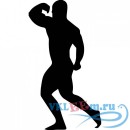 Декоративная наклейка Silhouette Bodybuilder Wall Sticker Athletics Wall Art
