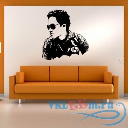 Декоративная наклейка Lenny Kravitz Musician Portrait Icons &amp; Celebrities Wall Sticker Home Art Decals