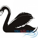 Декоративная наклейка Лебедь-кликун