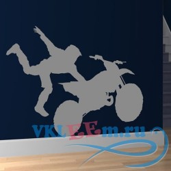 Декоративная наклейка Freestyle Motocross Wall Sticker Bike Wall Art