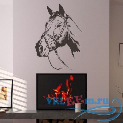 Декоративная наклейка Horse Head With Bridle Sketch Farmyard Animals Wall Stickers Home Art Decals