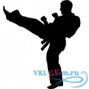Декоративная наклейка Karate High Kick Martial Arts Extreme Sports &amp; Fighting Wall Stickers Art Decals