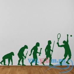 Декоративная наклейка Tennis Evolution Tennis Player Racket Ball Tennis Wall Sticker Sports Art Decals