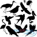 Декоративная наклейка Группа птиц