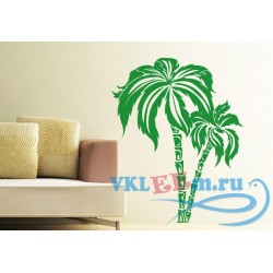 Декоративная наклейка деревья пальмовые