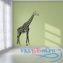 Декоративная наклейка Пятнистый жираф