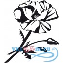 Декоративная наклейка Мак Цветок тюльпан