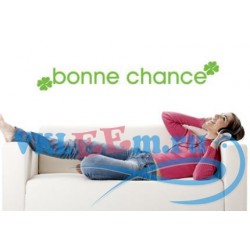 Декоративная наклейка Bonne Chance удачи слова на англ
