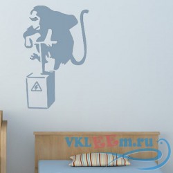 Декоративная наклейка Шимпанзе с щитком