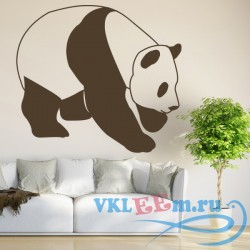 Декоративная наклейка Животная панда