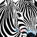 Декоративная наклейка Взгляд зебры