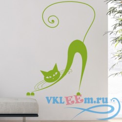 Декоративная наклейка Растяжка сиамской кошки