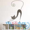 Декоративная наклейка Растяжка сиамской кошки