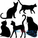 Декоративная наклейка Вид кошек