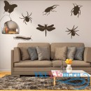 Декоративная наклейка Виды насекомых