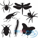 Декоративная наклейка Виды насекомых
