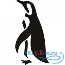Декоративная наклейка Морской пингвин